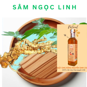 Sâm Ngọc Linh Ngâm Mật Ong Để Được Bao Lâu? Lưu Ý Khi Dùng