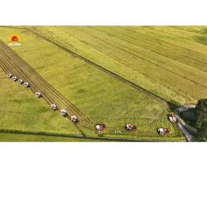 Gạo Hạt Ngọc Trời Thiên Vương 5 Kg - Gạo Thơm Đặc Sản