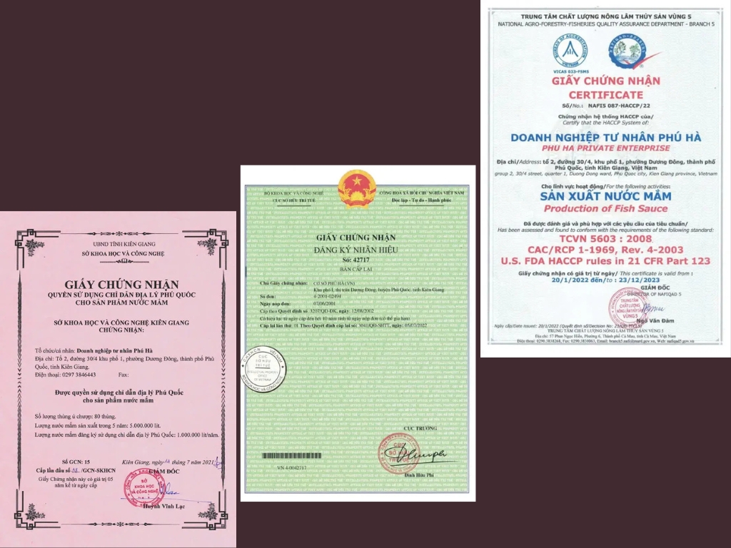 VI. Chứng nhận