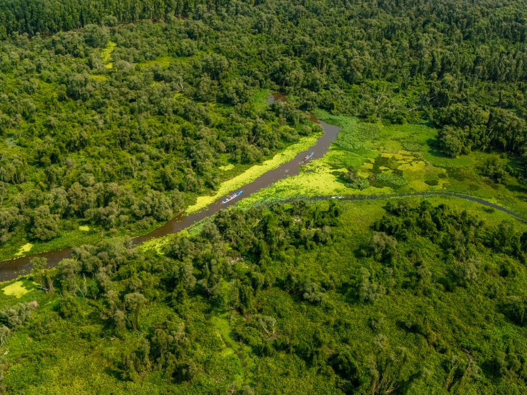 Dịch vụ trải nghiệm khác: