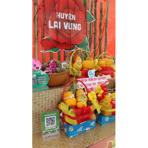 Bầu Trời Công Nghệ Số Tại Khu Đặc Sản Đồng Tháp Tại Festival Hoa Kiểng Sa Đéc Lần Thứ Nhất