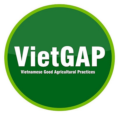 VietGAP & ISO22000: 2018