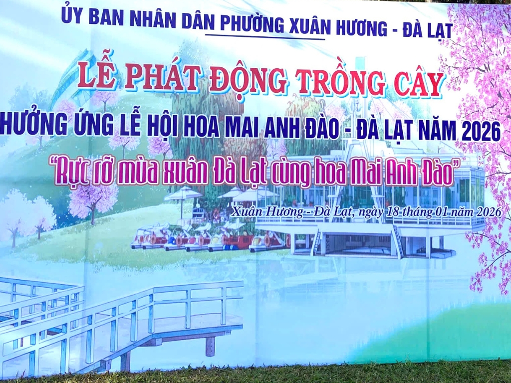 III. Các gói đồng hành
