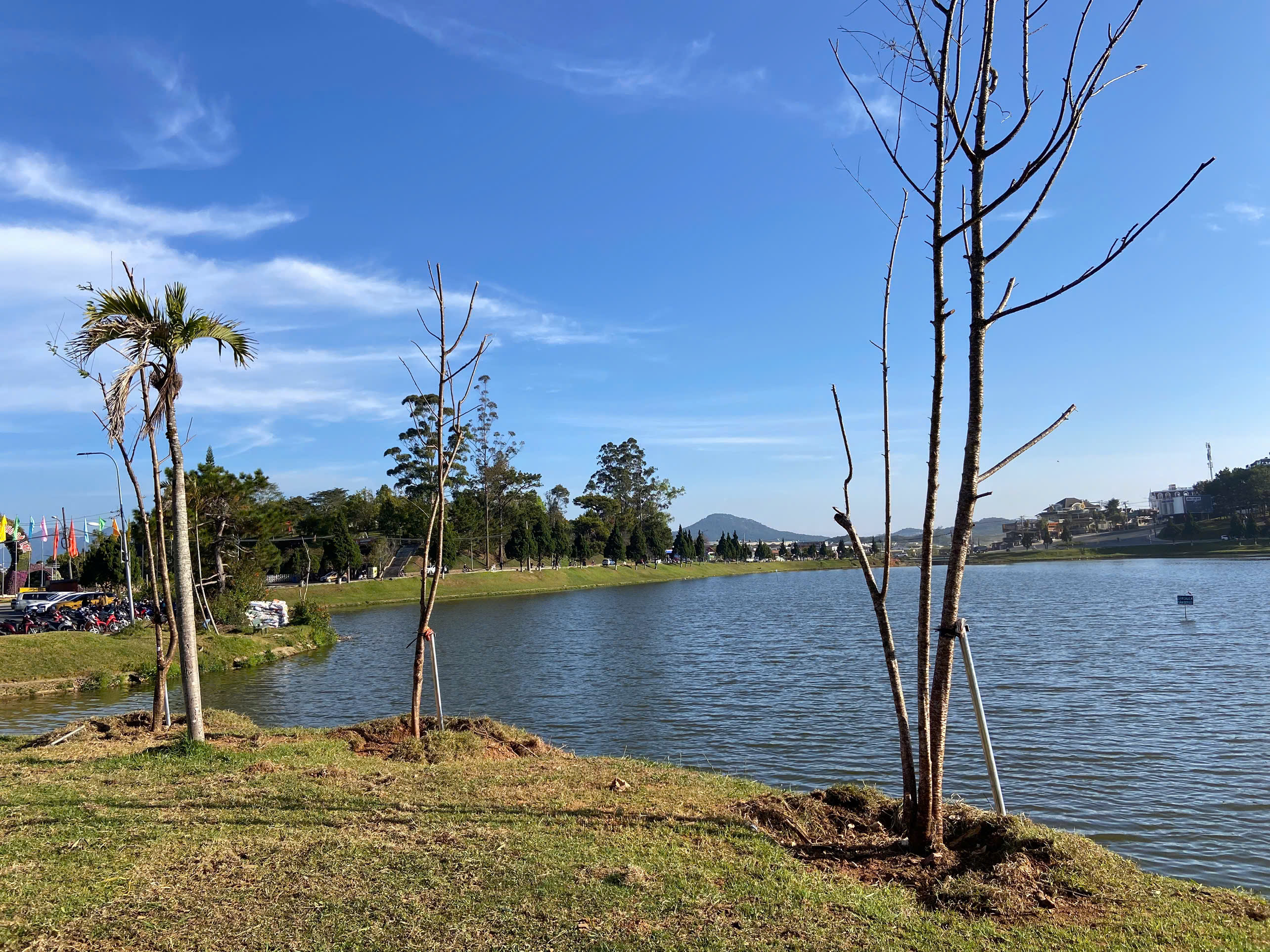 I. Bối cảnh & tính cấp thiết: