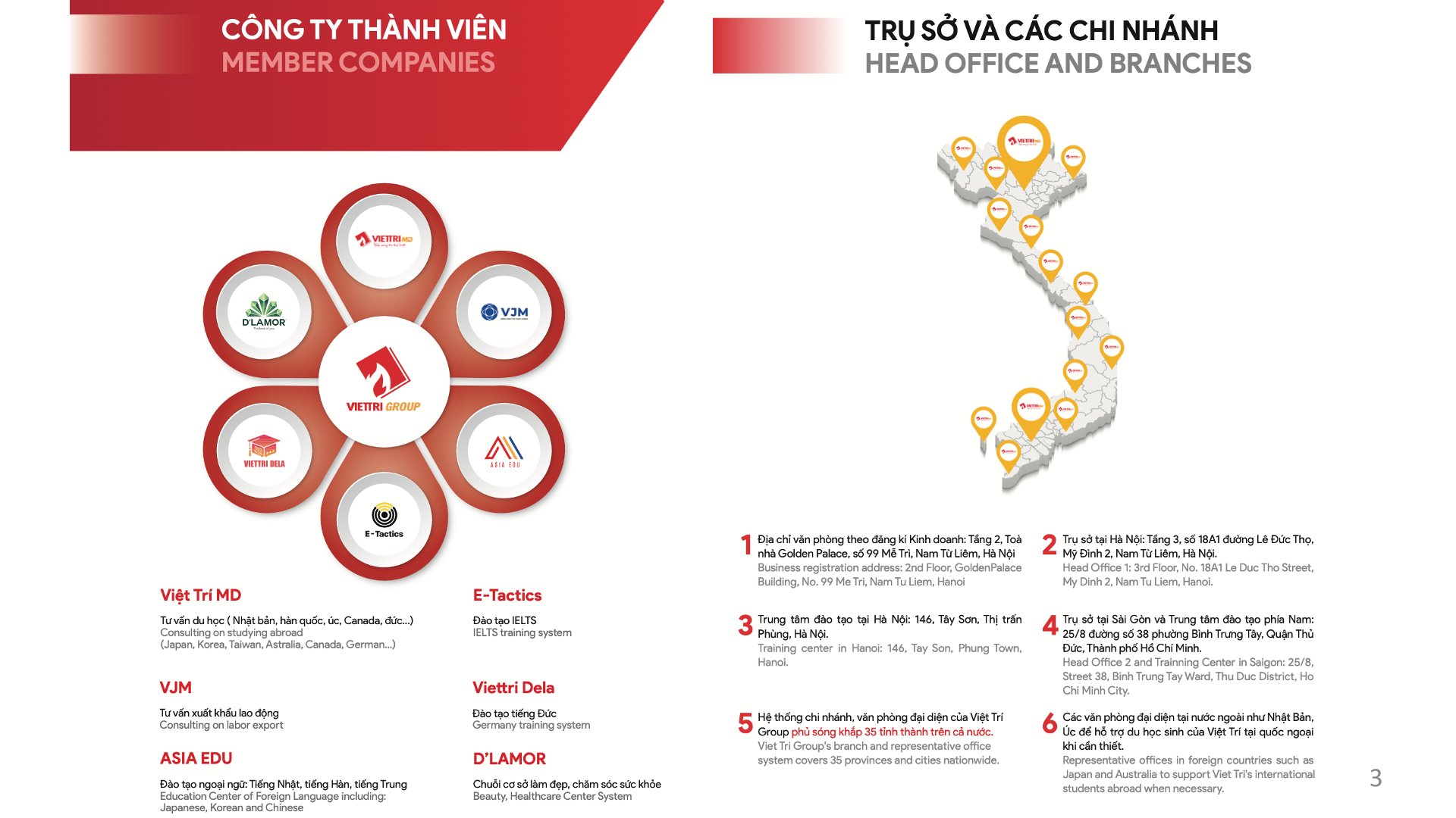 Hệ thống Công ty Thành viên, Chi nhánh