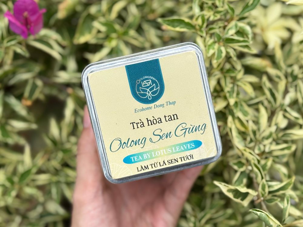 Hướng dẫn sử dụng