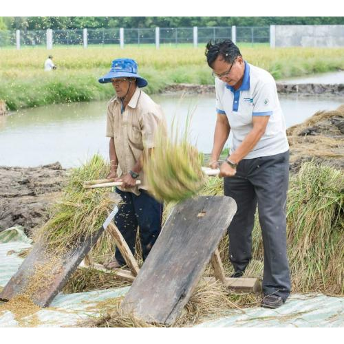 Lê Quốc Việt: Người Gìn Giữ Văn Hóa Lúa Mùa