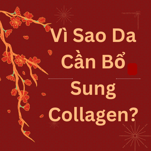 Vì Sao Da Cần Bổ Sung Collagen?