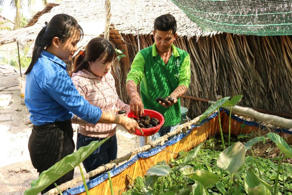 Phát huy tinh thần khởi nghiệp