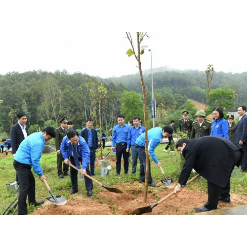 T.Ư Đoàn Khởi Động Tháng Thanh Niên Và Tết Trồng Cây