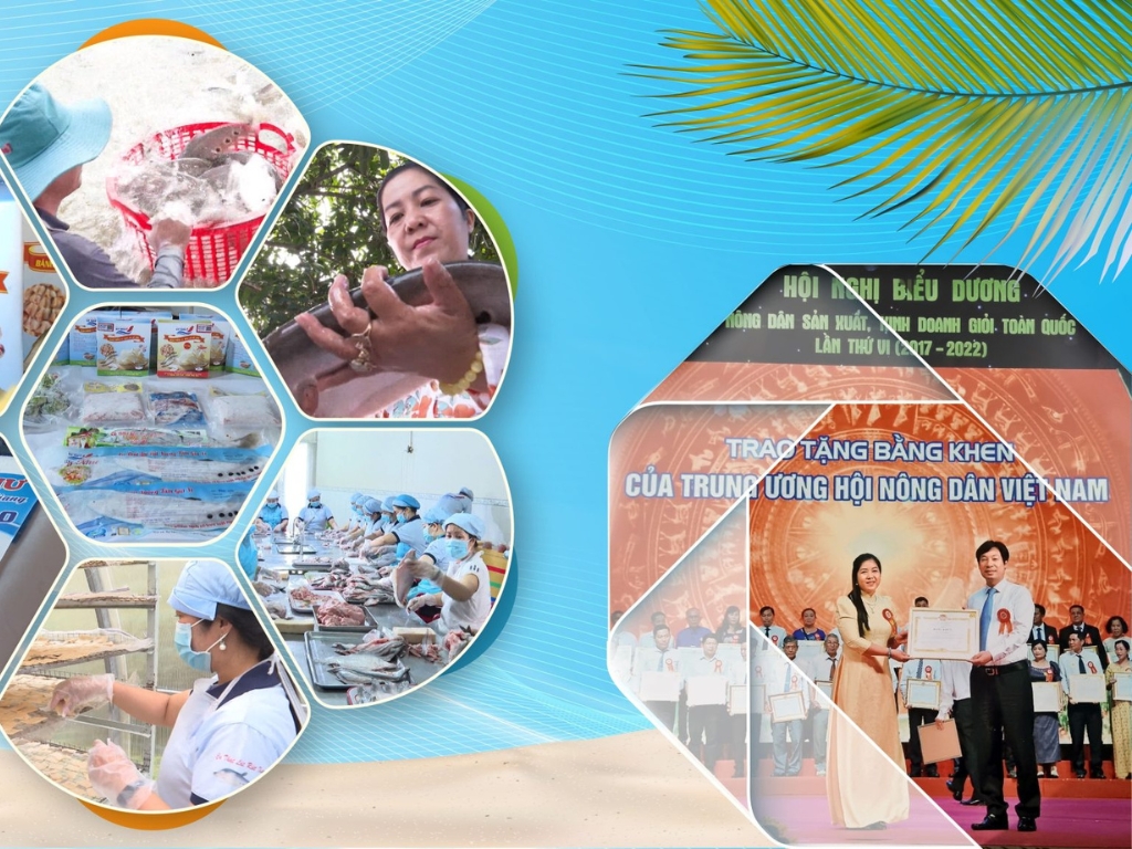 Tâm huyết từ người đứng đầu HTX Kỳ Như