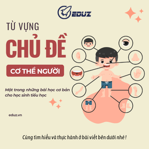 Những Từ Vựng Hay Về Cơ Thể Người