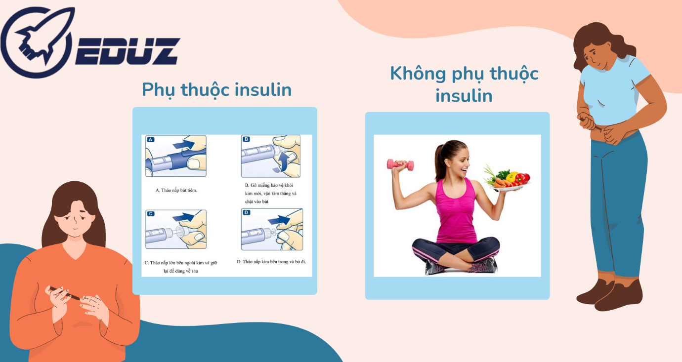 2. Phân Loại Đái Tháo Đường