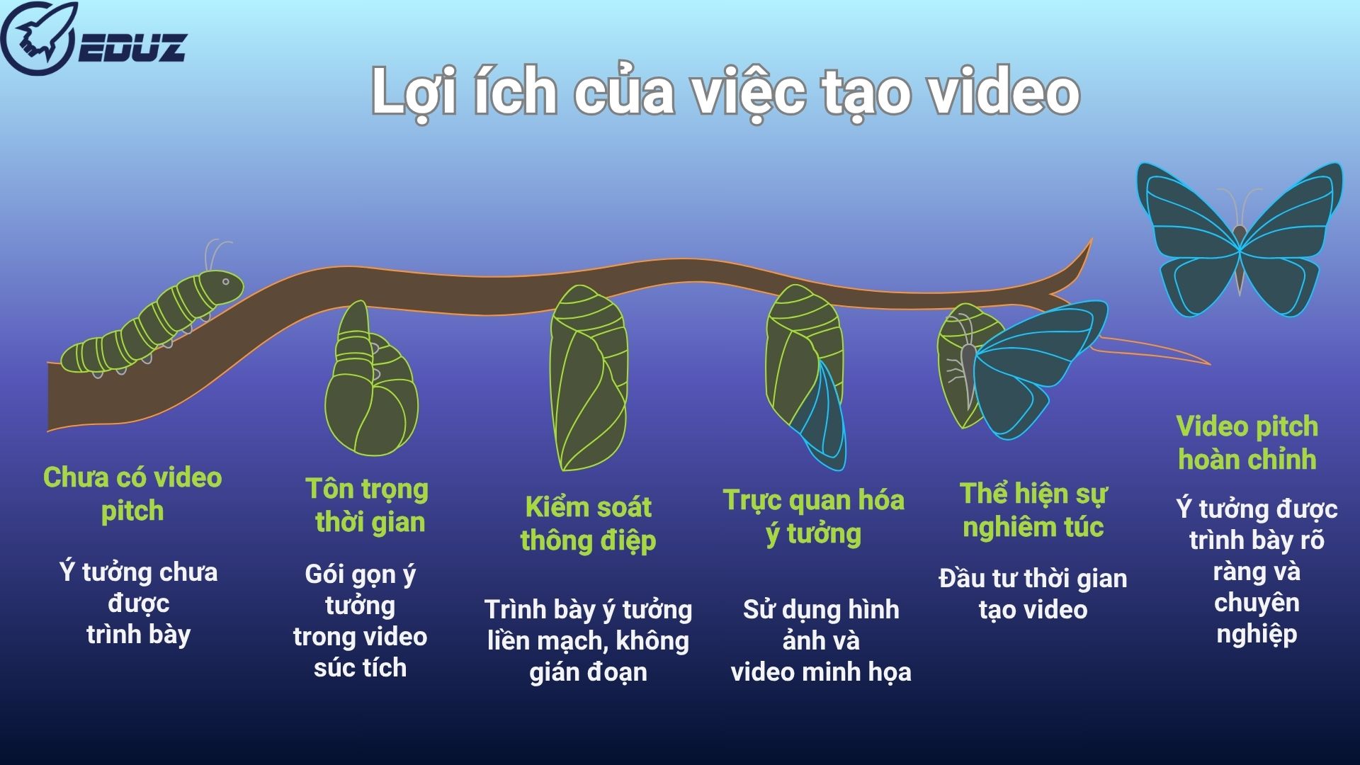 2. Video Pitch: Bằng Chứng Của Sự Chuẩn Bị và Tư Duy Mạch Lạc