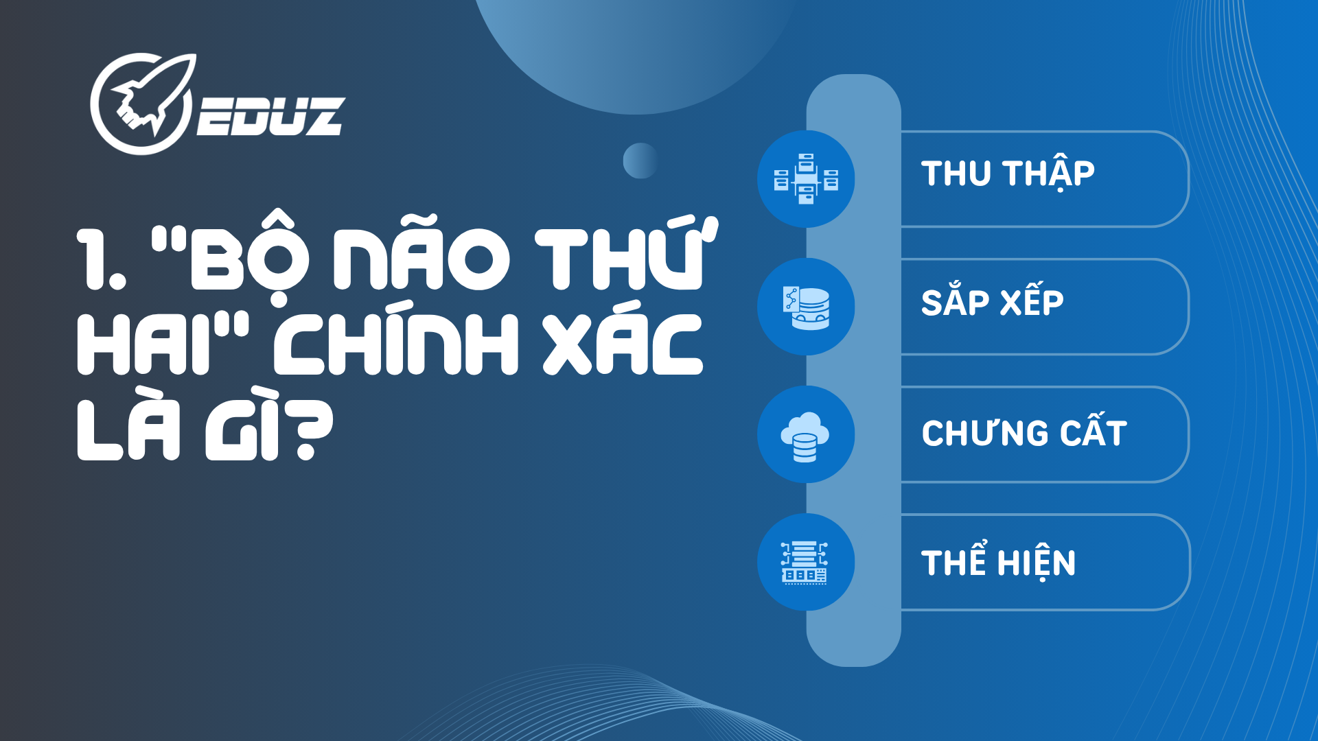 1. "Bộ Não Thứ Hai" Chính Xác Là Gì?