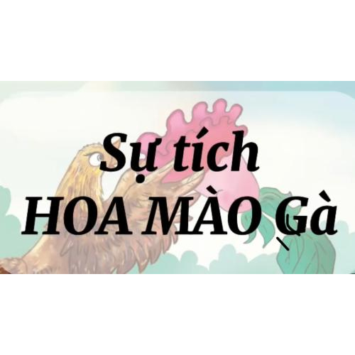 Sự tích hoa mào gà