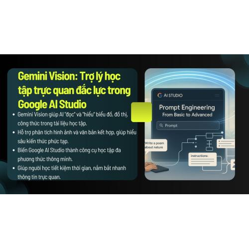 Gemini Vision: Trợ lý học tập trực quan đắc lực trong Google AI Studio