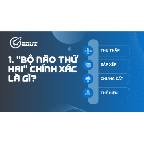 1. "Bộ Não Thứ Hai" Chính Xác Là Gì?