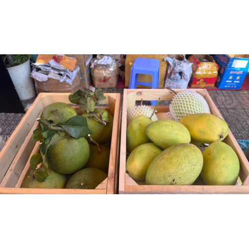 Không gian xuân xanh – nơi những giá trị nhỏ tạo nên thay đổi lớn