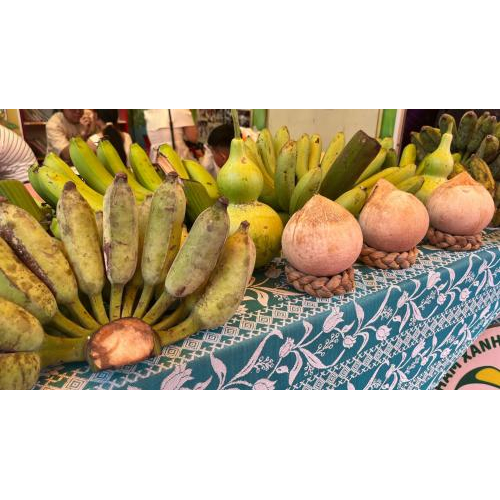 Không gian xuân xanh – nơi những giá trị nhỏ tạo nên thay đổi lớn