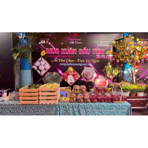 Không gian xuân xanh – nơi những giá trị nhỏ tạo nên thay đổi lớn