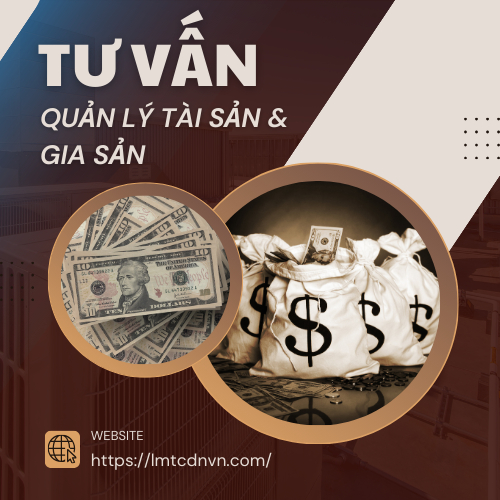 Dịch Vụ Tư Vấn Quản Lý Tài Sản Và Gia Sản