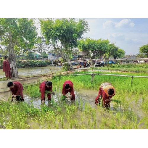 Về Khu Du Lịch Văn Hoá Phương Nam