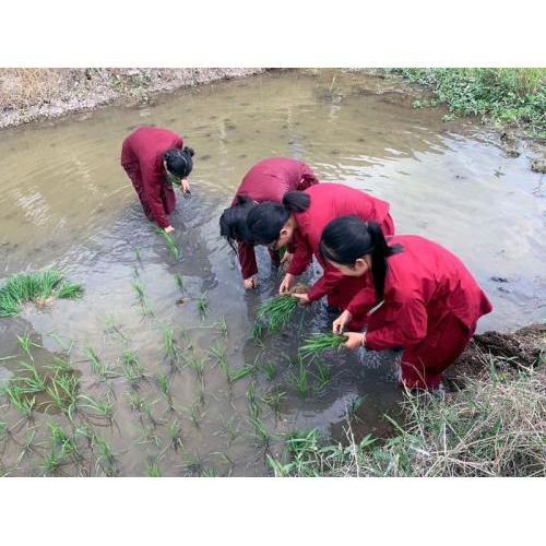 Về Khu Du Lịch Văn Hoá Phương Nam