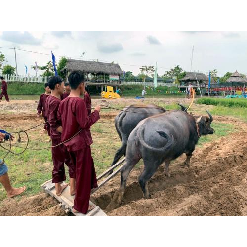 Về Khu Du Lịch Văn Hoá Phương Nam