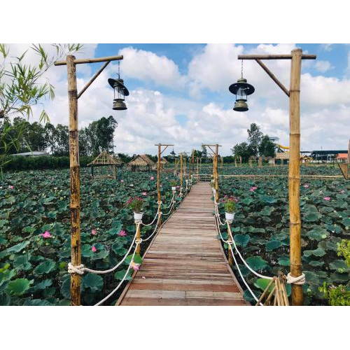 Khám Phá Khu Du Lịch Văn Hóa Phương Nam – Điểm Đến Tựa Thiên Nhiên, Gắn Kết Văn Hóa