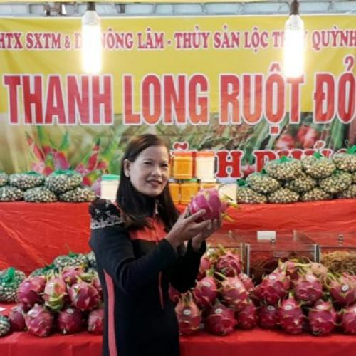 Mở Rộng Cơ Hội Tiêu Thụ Thanh Long Ruột Đỏ Chuẩn VietGAP Từ Chương Trình Mỗi Xã Một Sản Phẩm