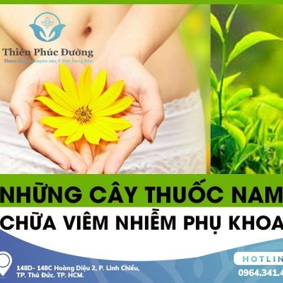 Điều Trị Viêm Phụ Khoa Bằng Thuốc Nam Đơn Giản Tại Nhà