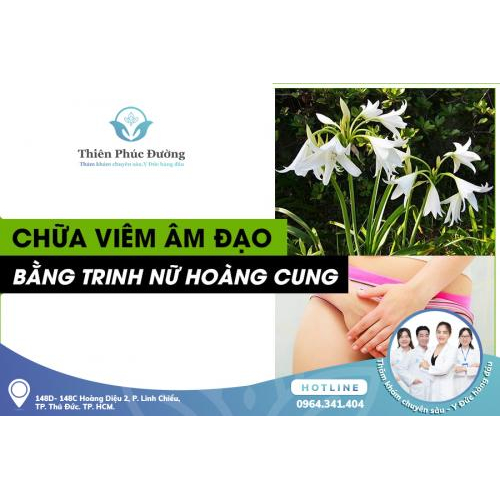 Điều Trị Viêm Phụ Khoa Bằng Thuốc Nam Đơn Giản Tại Nhà