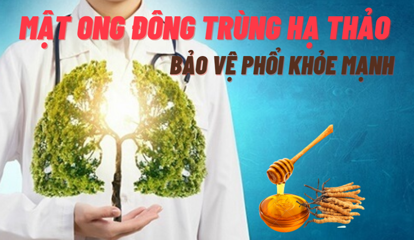 Mật ong đông trùng hạ thảo giúp tăng cường sức khỏe đường hô hấp 