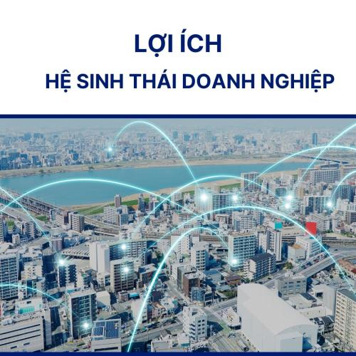 Hàng Ngàn Lợi Ích Tuyệt Vời Của Hệ Sinh Thái Doanh Nghiệp - Phần I