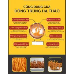 Nâng cao hệ miễn dịch của nữ giới