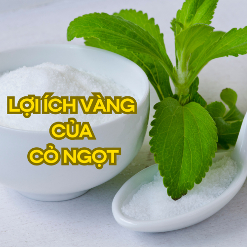 Lợi Ích Vàng Cỏ Ngọt Đem Lại Cho Sức Khỏe