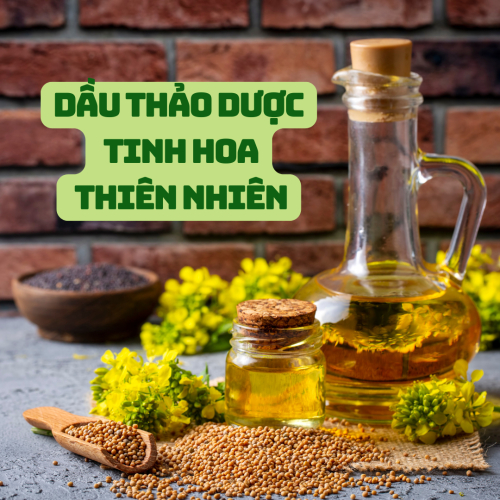 Dầu Thảo Dược - Tinh Hoa Thiên Nhiên Trong Chăm Sóc Sức Khỏe