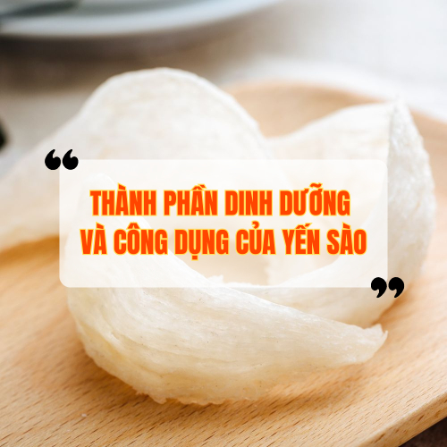 Yến Sào Là Gì? Thành Phần Dinh Dưỡng Và Công Dụng Của Yến Sào