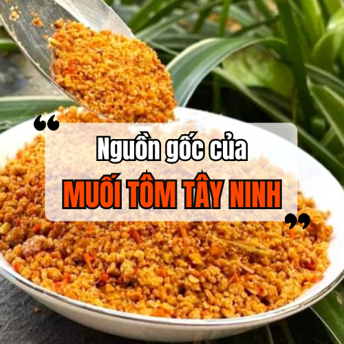 Nguồn Gốc Của Muối Tôm Tây Ninh. Vì Sao Trở Thành Đặc Sản Nổi Tiếng Của Việt Nam