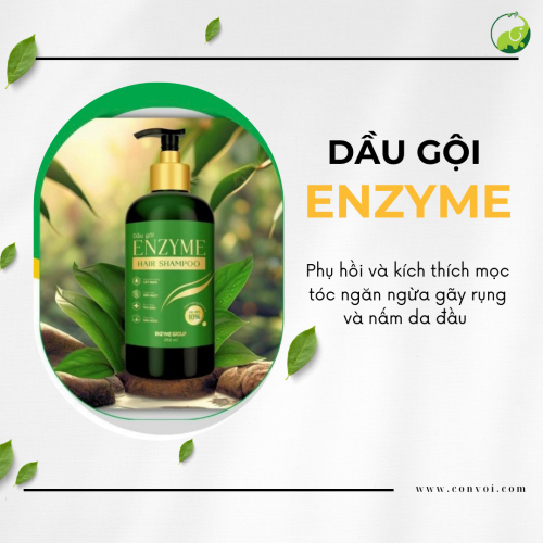 Dầu Gội ENZYME (350ml)