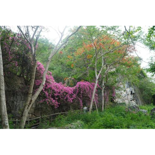 Hà Tiên sẵn sàng chào đón du khách