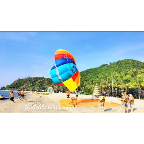 Giáng Sinh Trên Biển Xanh - Check-in Cây Thông Mũi Nai