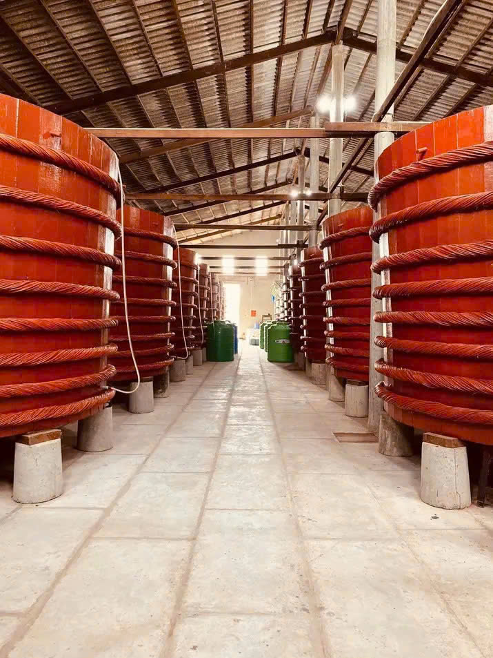 Hương vị đậm đà của biển Hà Tiên