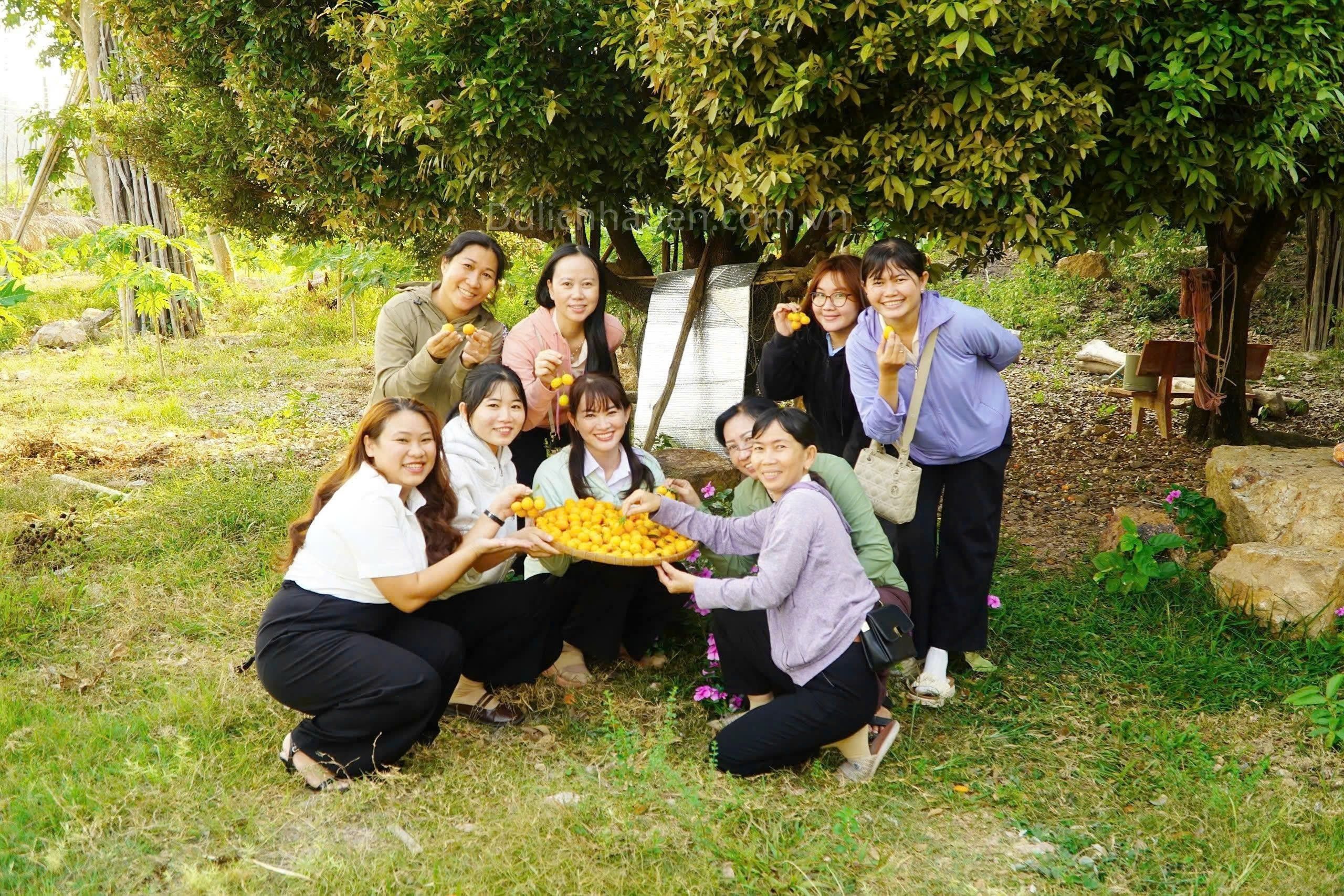 Du Lịch Hà Tiên Tháng 3: Trải Nghiệm Hái Thanh Trà Tại Vườn